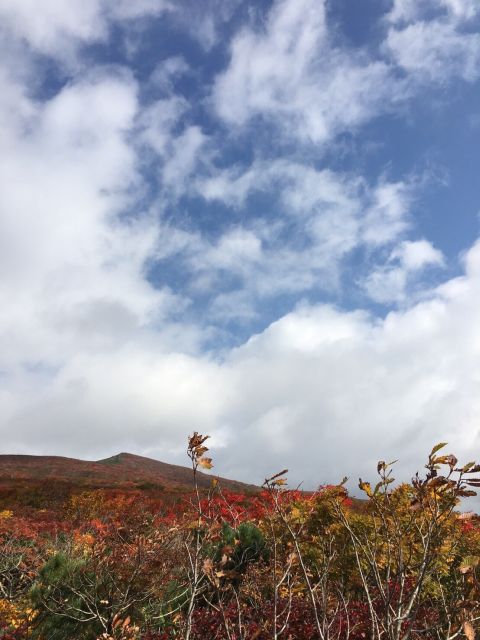 10月1日　栗駒山へ紅葉狩りへ！